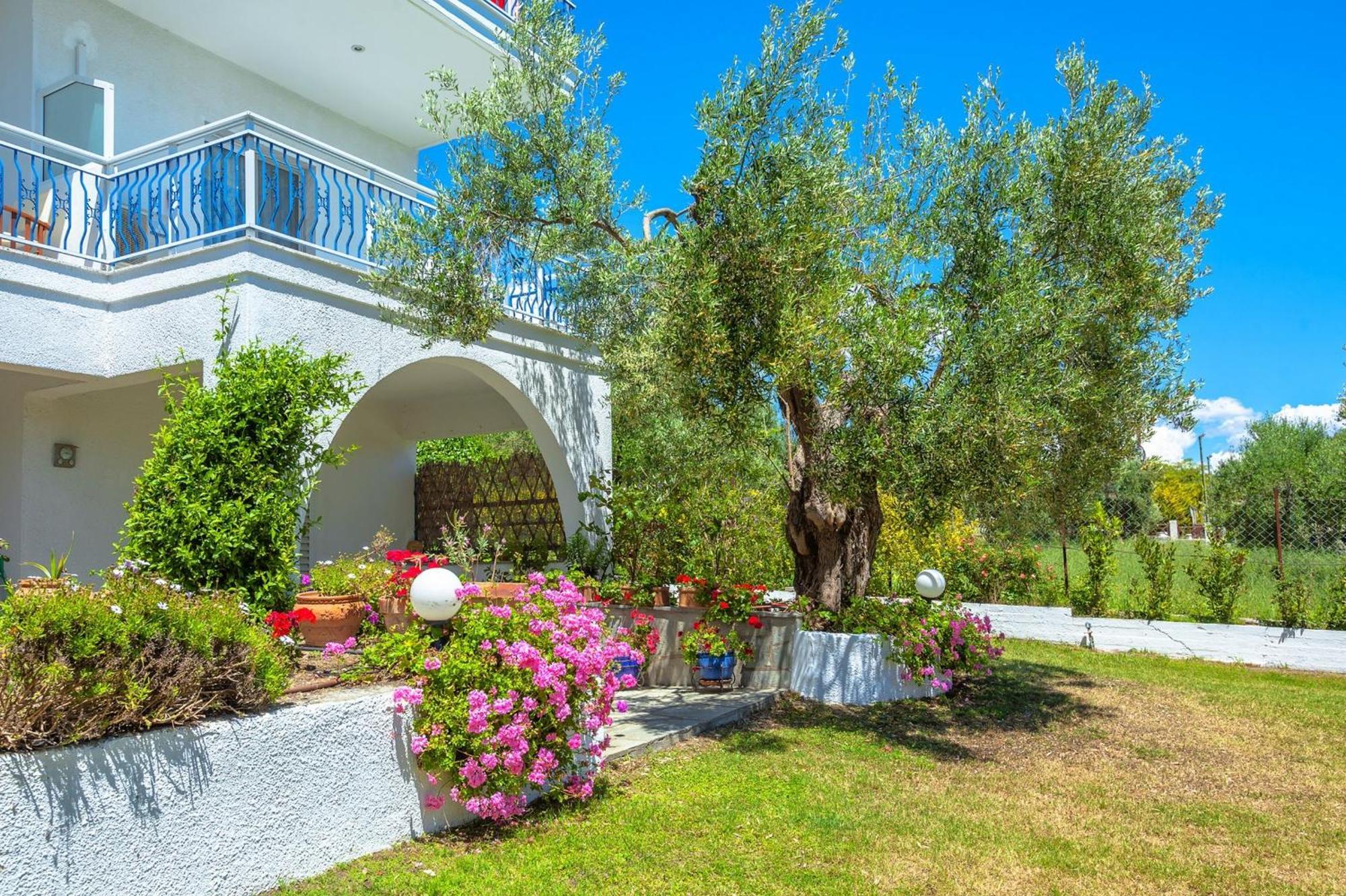 Xenios Faros Apartments Посіді Екстер'єр фото